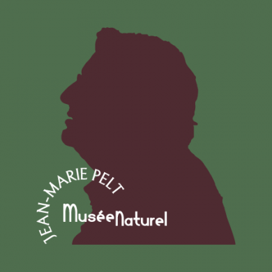 Musée naturel Jean Marie Pelt à Montoy Flanville